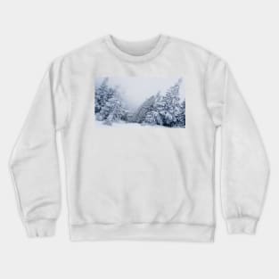 fir Crewneck Sweatshirt